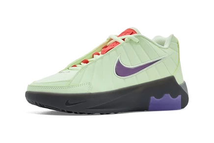 Nike Kids Lebron Witness IX (Big Kid) volt tint/multicolor/black/smoke grey
