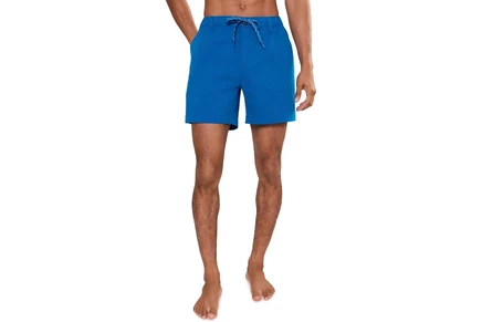 Шорты Chubbies Chubbies The Blue Ribbons 6