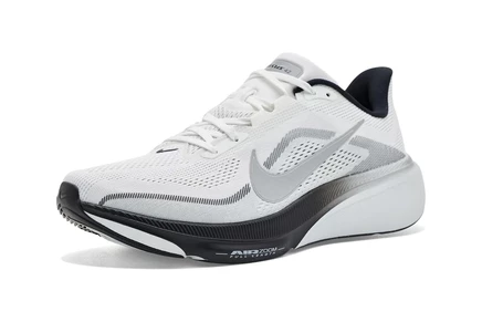 Nike Air Zoom Pegasus 42 Road Running summit white/white/metallic silver