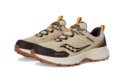 Мужские кроссовки Saucony Excursion TR17 GTX