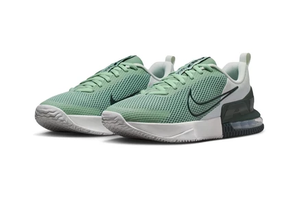 Мужские кроссовки Nike Air Max Alpha Trainer 6