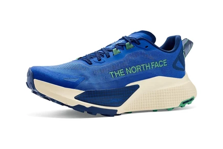 Мужские кроссовки The North Face Altamesa 500 V2