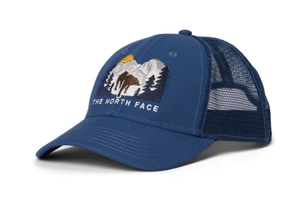 Унисекс кепка The North Face Mudder, голубая с медведем