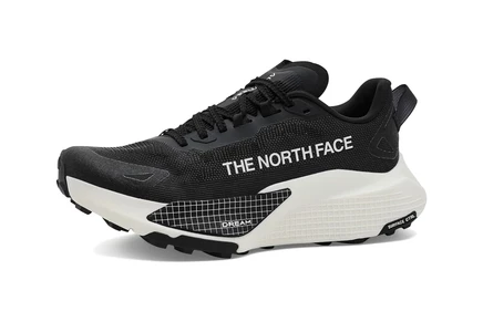 Кроссовки The North Face Altamesa 500 V2