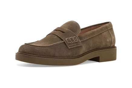 Лоферы Dolce Vita Tiggy