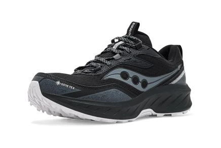 Saucony Excursion TR18 GTX black/fog
