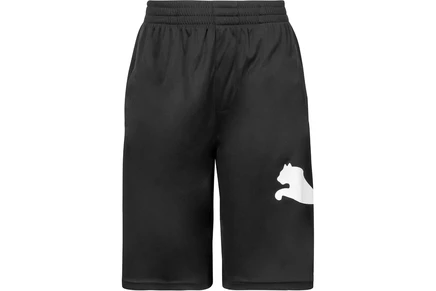 PUMA Kids Boys Core Essential Athletic Shorts puma black/white