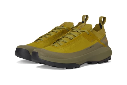 Мужские кроссовки Arcteryx Vertex Alpine GTX