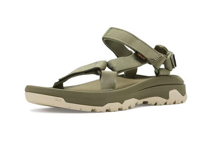 burnt olive