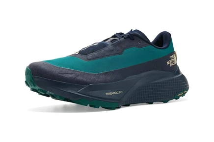 Мужские кроссовки The North Face Altamesa 500 V2 GORE-TEX