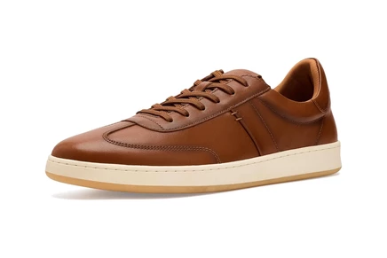 Мужские кроссовки Steve Madden Dacono