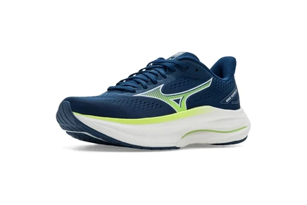 Мужские кроссовки Mizuno Wave Inspire 22