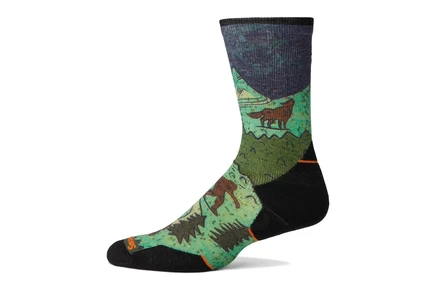 Носки Smartwool Trail Run Targeted Cushion Neature Print Crew Socks