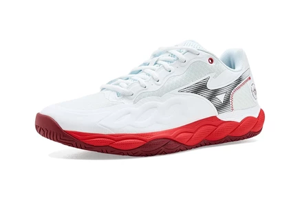 Мужские кроссовки Mizuno Wave Enforce Court AC