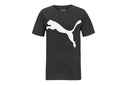 Футболка PUMA Boys Big Cat Logo T-Shirt