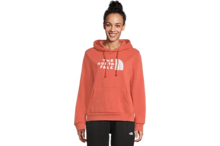 Женский свитшот The North Face Evolution Sketch Logo Half Dome Hoodie - Graphic