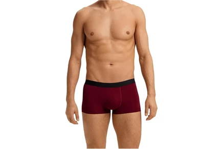 Hanro Micro Touch Boxer Brief cabernet
