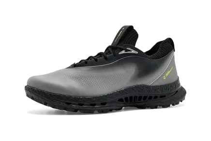 Мужские кроссовки ECCO Golf BIOM C5, GORE-TEX, серые