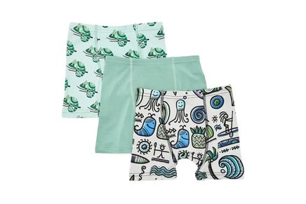 Детские боксеры Kickee Pants Kids, 3 пары, хамелеоны