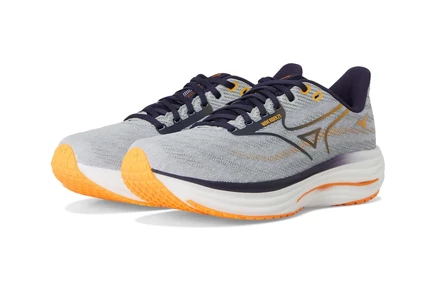 Мужские кроссовки Mizuno Wave Rider 29