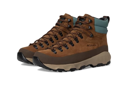 Мужские кроссовки Columbia Newton Alpine PT