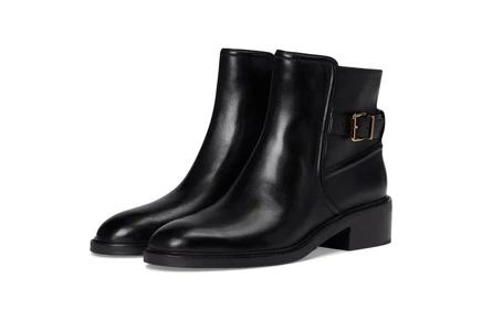 Ботинки Cole Haan Silvana Buckle Booties