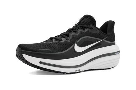 Мужские кроссовки Nike Air Winflo 12