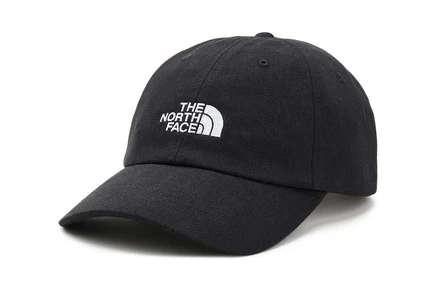 Унисекс кепка The North Face Norm, черная