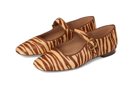 beechwood zebra multi