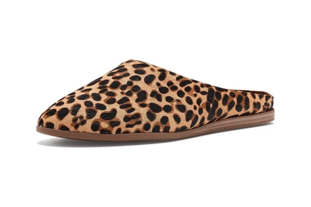 Женские балетки TOMS Amelia, разноцветные