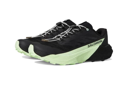Мужские кроссовки Salomon Pulsar