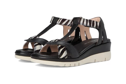 black/zebra
