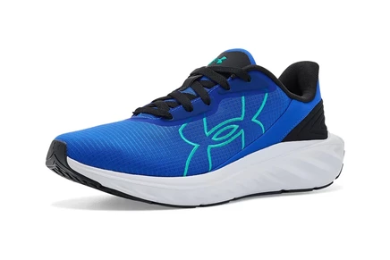 Мужские кроссовки Under Armour Ascend Big Logo Running Shoes