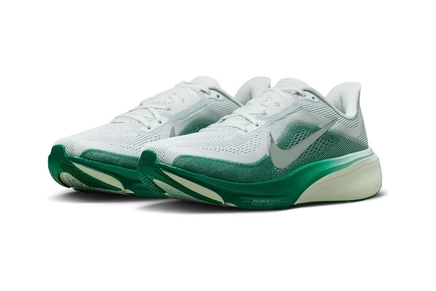 Женские кроссовки Nike Pegasus 42, бело-серебристо-зеленые
