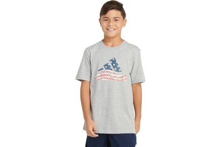 Детская футболка Adidas Kids SS USA Hthr 24, серый меланж