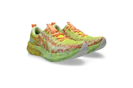Мужские кроссовки ASICS Noosa Tri 16