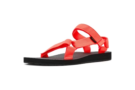 neon coral