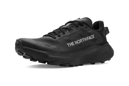 Кроссовки The North Face Altamesa 300 V2