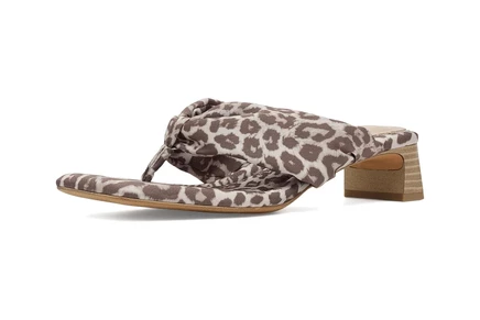 Circus NY by Sam Edelman Colette wildwood brown
