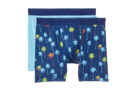 Мужские боксеры Tommy Bahama, 2 шт., синий принт