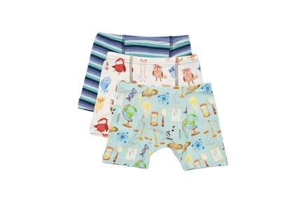 Kickee Pants Kids Print Boxer Briefs Set of 3 (Toddler/Little Kid) spring sky science, natural owls & moonlight bay stripe