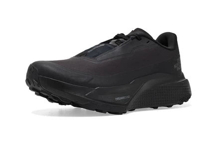 Мужские кроссовки The North Face Altamesa 500 V2 GORE-TEX
