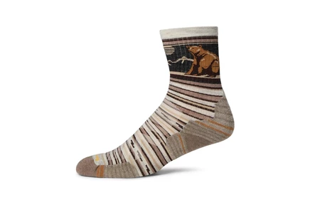 Носки Smartwool Hike Targeted Cushion Bear Stripe Mid Crew Socks