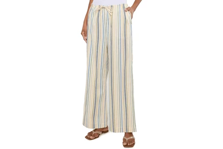 Брюки Joes Jeans The Brynn Pants in Azure Multi Stripe