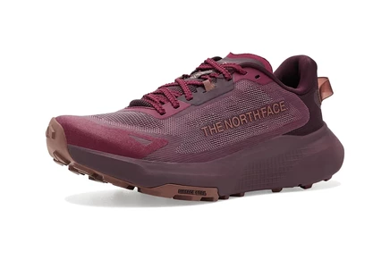 Кроссовки The North Face Altamesa 300 V2