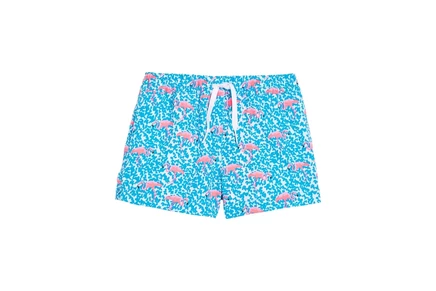 Плавки Chubbies Kids The Domingos Are For Flamingos (boys Lined Swim Trunk) (big Kid)
