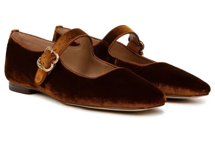 spiced camel