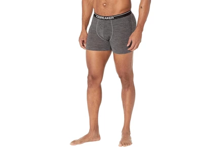 Мужские боксеры Icebreaker Anatomica из мериноса, серый меланж