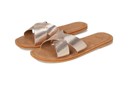 emb snake champagne