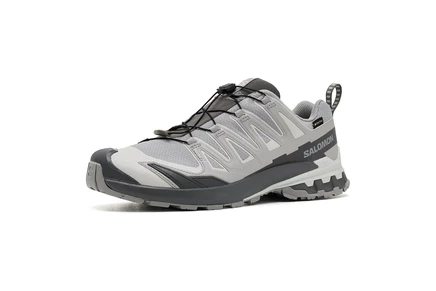 Мужские кроссовки Salomon XA Pro 3D V9 GORE-TEX